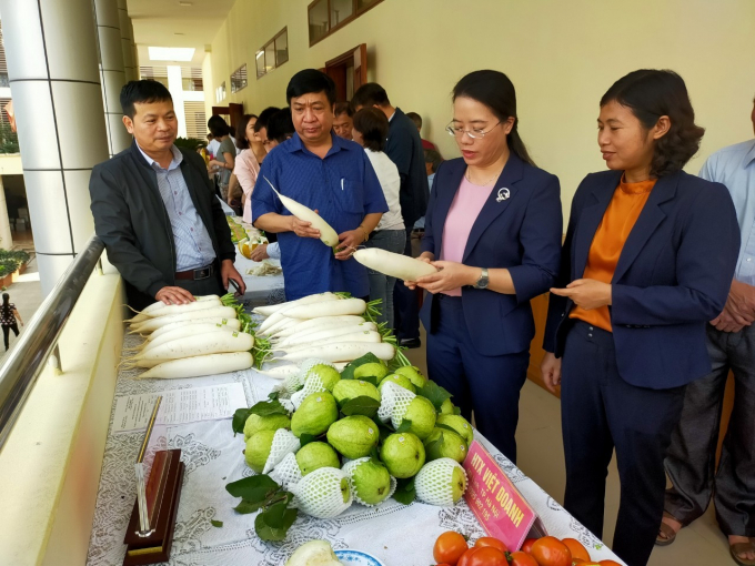 Sản phẩm rau an toàn của Hà Nội nói chung và huyện Mê Linh nói riêng ngày càng khẳng định thương hiệu và chất lượng. Ảnh: MT.