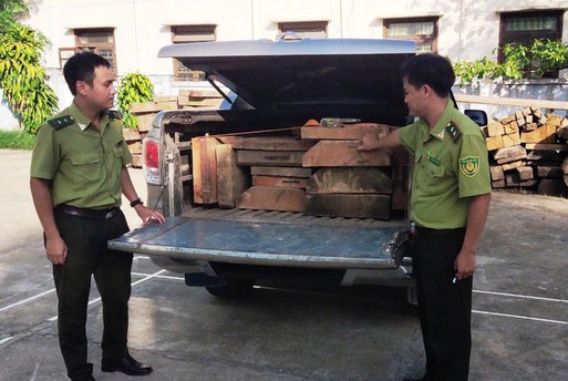 Lực lượng chức năng đã phát hiện và bắt giữ 14 phách gỗ lậu trên chiếc ô tô bán tải biển số giả. Ảnh: T.T.