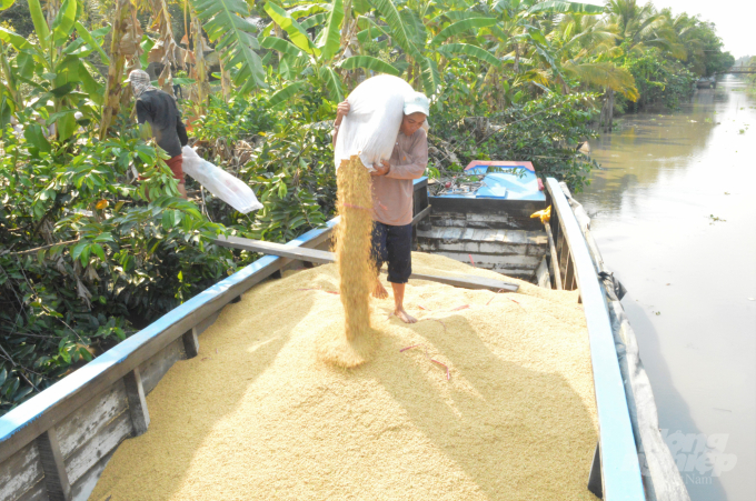 Bộ Công Thương kiến nghị nghiên cứu mở 'luồng xanh' vận tải thủy để tiêu thụ lúa gạo hàng hóa kịp thời. Ảnh: TL.