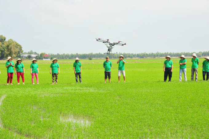 Drone đã bước đầu cho thấy những hiệu quả, thuận lợi khi phun thuốc BVTV trên một số cây trồng, trong đó có cây lúa. Ảnh: TL.