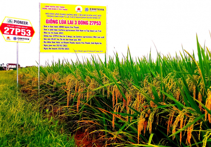 Mô hình cánh đồng mẫu lớn (65,67 ha) vụ xuân 2021 tại Yên Thành, Nghệ An.