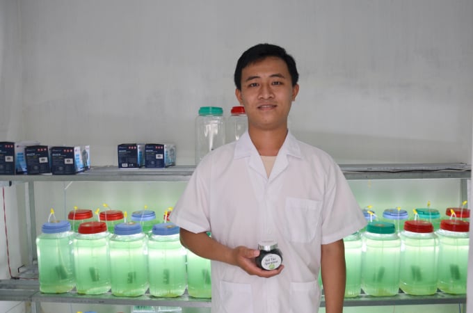 Anh Văn Hữu Tài khởi nghiệp từ mô hình nuôi tảo Spirulina ở Vĩnh Long. Ảnh: Minh Đảm.