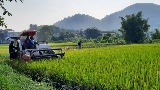 Máy gặt đập liên hợp mang lại nhiều lợi ích cho nông dân. Ảnh: Khắc Điệp.