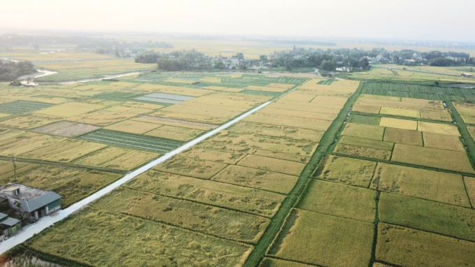 Những cánh đồng lớn, liền thửa, liền vùng ngày càng nở rộ ở Hà Tĩnh. Ảnh: VK.