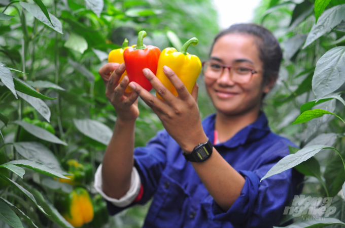 Lâm Đồng là địa phương phát triển mạnh về nông nghiệp ứng dụng công nghệ cao, nông nghiệp thông minh. Ảnh: Minh Hậu.