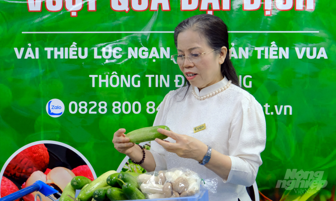 Ninh Thị Ty, Phó Chủ tịch Hiệp hội Nông nghiệp số Việt Nam (VIDA). Ảnh: Bảo Thắng.