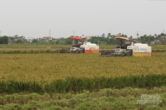 Hiện tại, Nam Định đã thu hoạch được trên 90% diện tích lúa đông xuân. Ảnh: Mai Chiến.