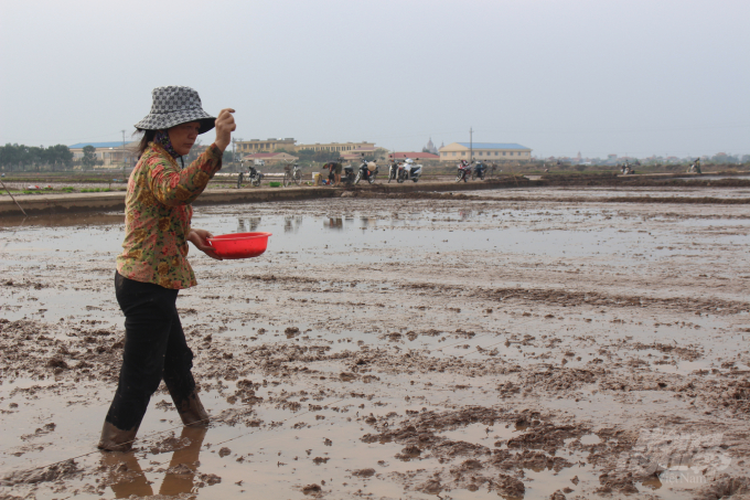 Nam Định khuyến cáo các địa phương, người dân hạn chế tối đa gieo sạ vụ mùa 2021. Ảnh: Mai Chiến.