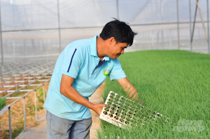 Lâm Đồng có diện tích sản xuất nông nghiệp công nghệ cao lớn, là nền tảng để phát triển nông nghiệp hữu cơ. Ảnh: Minh Hậu.