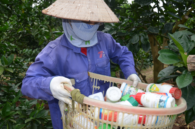 Một chủ vườn cam ở huyện Lục Ngạn tỉnh Bắc Giang với số vỏ bao thuốc sâu sử dụng trong một vụ. Ảnh: Dương Đình Tường.