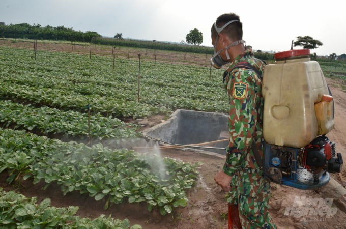 Một nông dân ở huyện Mê Linh, TP Hà Nội đang phun thuốc sâu lậu cho rau. Ảnh: Dương Đình Tường.