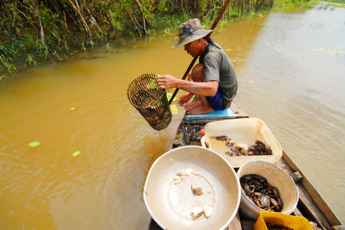 Fishing in the Dong Thap Muoi area during the flood season. Photo: Le Hoang Vu.