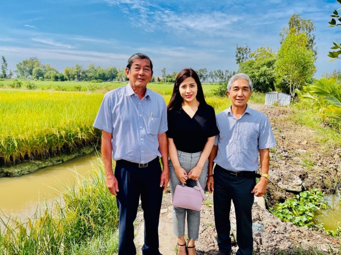 Ông Hồ Quang Cua cùng nhà đầu tư thăm mô hình ST25 trồng trên vùng lúa tôm ven biển. Ảnh: Nhân vật cung cấp.
