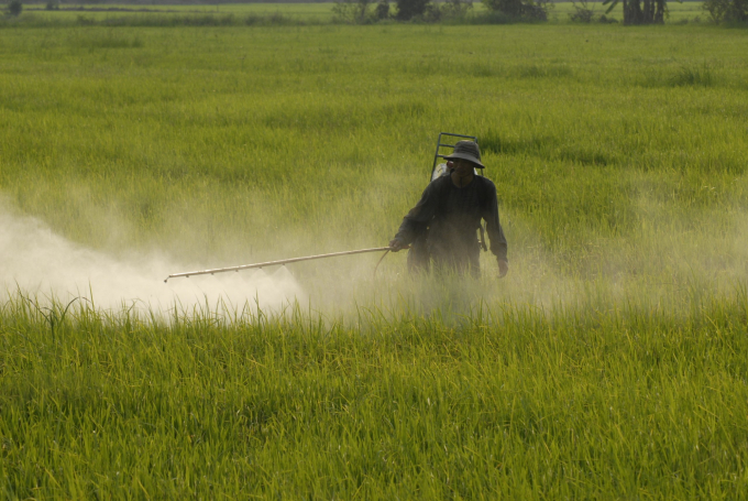 It is necessary to adhere to the '4 right' in the use of pesticides. Photo: Le Hoang Vu.