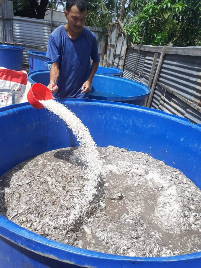 Quy trình sản xuất nước mắm nhỉ cá linh của cơ sở Bích Tuyền luôn đảm bảo an toàn, vệ sinh thực phẩm. Ảnh: Trọng Trung.