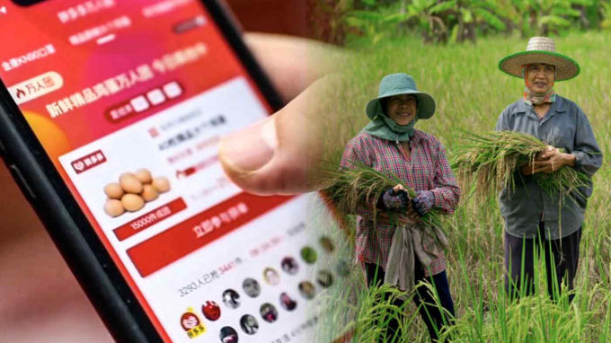 Các hãng thương mại điện tử như Pinduoduo góp phần giúp nông dân Trung Quốc tiêu thụ nông sản trong đại dịch Covid-19. Ảnh: Nikkei Asian Review.