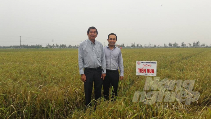 Nhà khoa học Hồ Quang Cua cùng anh Trần Văn Trung thăm giống lúa Tiến Vua. Ảnh: Nhân vật cung cấp.