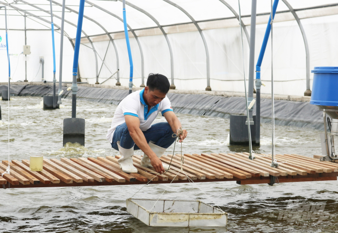 Digital technology is used widely in aquaculture production. Photo: Thanh Son.