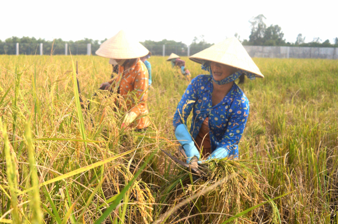  Trong quá trình thực hiện các chính sách vùng đồng bào dân tộc thiểu số, bao giờ cũng dành kinh phí để nâng cao năng lực cho cộng đồng, hỗ trợ đào tạo nghề, vay vốn với lãi suất ưu đãi. Ảnh: ĐC.