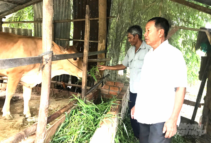 Ông Lý Diên (ngoài cùng) thăm bò dự án tại hộ anh Kim Tiên. Ảnh: MĐ.