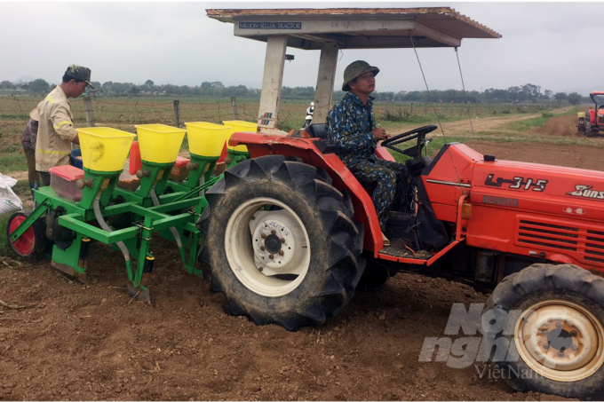 Mechanization in growing biomass corn helps to increase economic efficiency per unit area. Photo: VD.