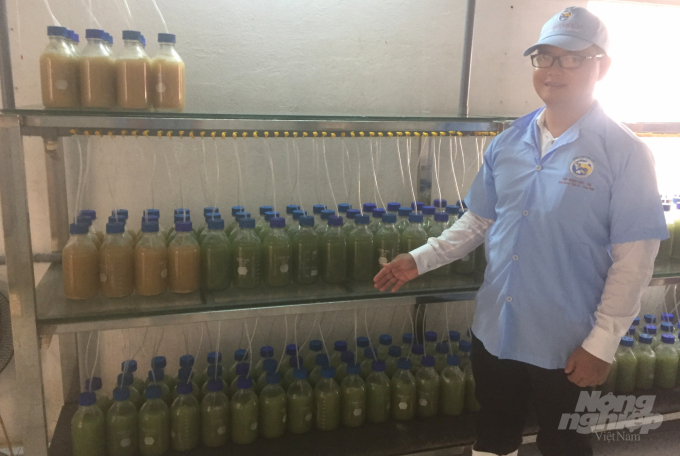 Công ty TNHH Việt Úc Phù Mỹ đã chủ động sản xuất ra nguồn tảo tươi và Artemia hoàn toàn sạch, với các thành phần dinh dưỡng vượt trội, đáp ứng nhu cầu phát triển toàn diện của ấu trùng tôm. Ảnh: LK.