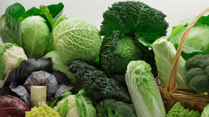 Các loại rau mang họ cải phổ biến tại nước ta như bắp cải, bông cải xanh, cải bó xôi, cải ngọt, cải ngồng,… là thực phẩm chống lão hóa da tốt. Ảnh minh họa.