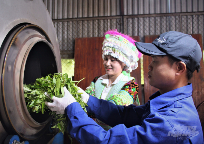 Việc ứng dụng chương trình quản lý dịch hại tổng hợp giúp nâng tầm thương hiệu chè sạch của tỉnh Tuyên Quang.