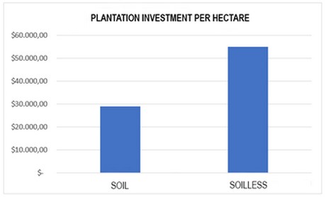Chi phí đầu tư cho mỗi ha cây trồng trên đất và thủy canh. Đồ họa: Projar