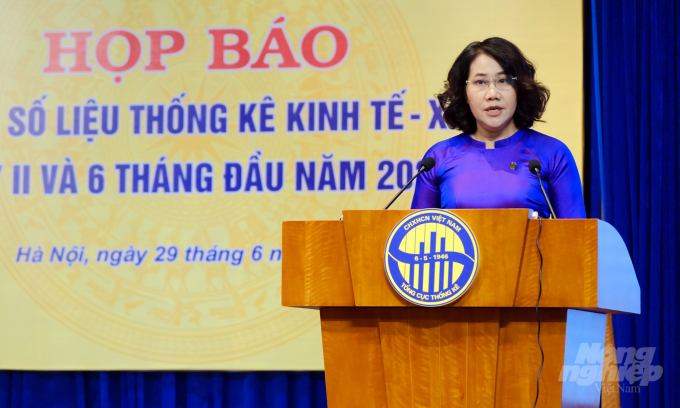 Bà Nguyễn Thị Hương, Tổng cục trưởng Tổng cục Thống kê. Ảnh: Bảo Thắng.