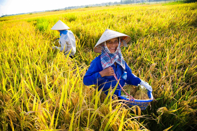 Phải giảm thiểu vật tư đầu vào, sử dụng vật tư nông nghiệp thân thiện với môi trường, sản xuất đảm bảo an toàn thực phẩm.