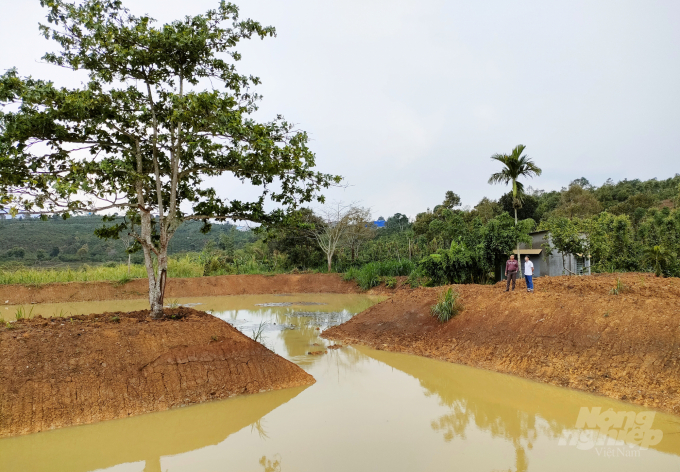 Được IDH và chính quyền hỗ trợ nguồn vốn, nhiều hộ dân đã xây dựng được hồ chứa để đảm bảo nguồn nước tưới cho cây trồng về mùa khô và phát triển trồng xen cây lâm nghiệp. Ảnh: MH.