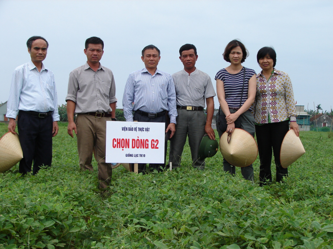 GS.TS Nguyễn Văn Tuất (ngoài cùng bên trái) trong lần thăm đề tài nghiên cứu sử dụng giống lạc kháng bệnh héo xanh vi khuẩn tại Nghệ An. Ảnh: NVCC.