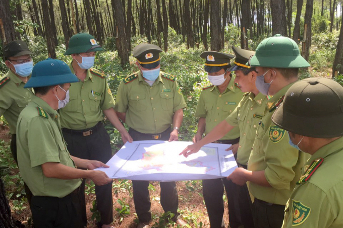 Leaders of the Forest Protection Department (Administration of Forestry - MARD) inspect forest fire prevention and fighting work.