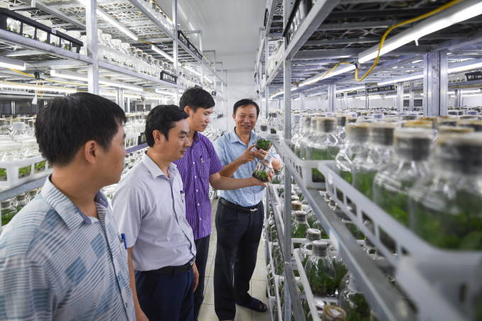 Inside the research area of the Fruit and Vegetable Research Institute. Photo: Tung Dinh.