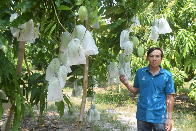 Sự phát triển cây ăn quả của Bình Định đã góp phần tăng trưởng không nhỏ trong lĩnh vực nông nghiệp trong 6 tháng qua. Ảnh: Vũ Đình Thung.