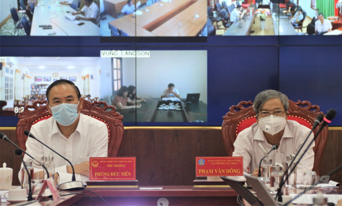 Deputy Minister Phung Duc Tien and Director General Pham Van Dong chaired the conference. Photo: Pham Hieu.