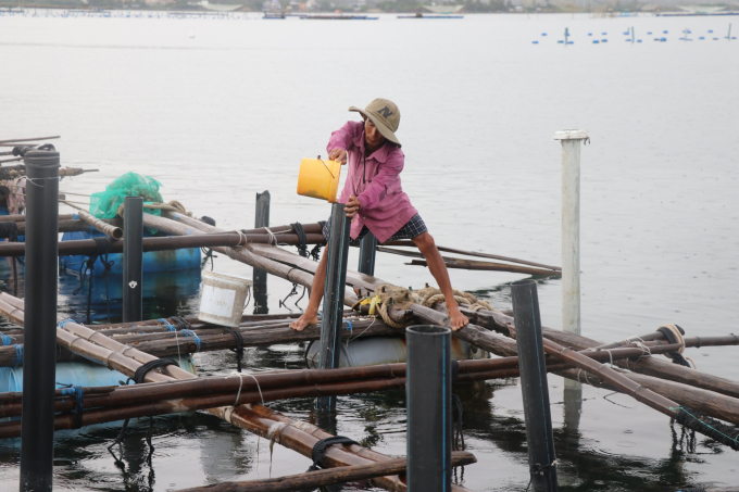 The majority of fish farmers practices aquaculture in a traditional way with backward technologies. Photo: PC.