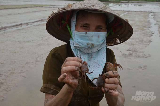 Nguyen Thi Xuan shows off her newly caught crabs. Photo: Duong Dinh Tuong.