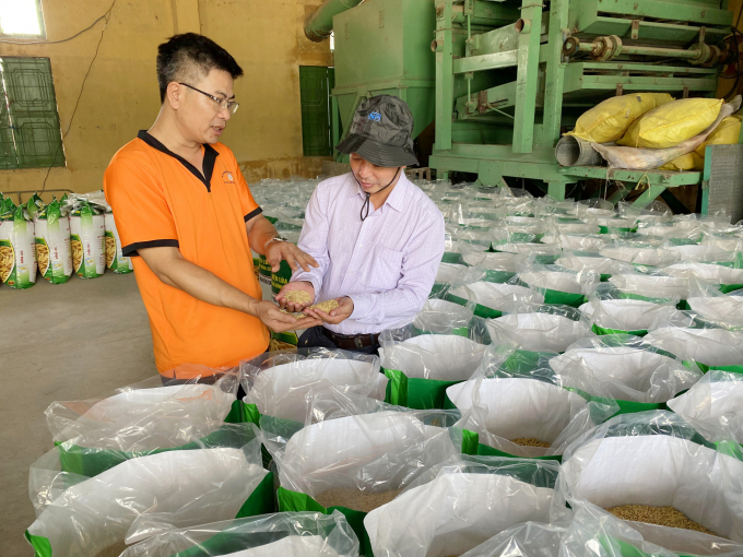 Ngành nông nghiệp các tỉnh ĐBSCL khuyến cáo sử dụng lúa giống chất lượng phục vụ trong vụ TĐ 2021. Ảnh: Lê Hoàng Vũ.