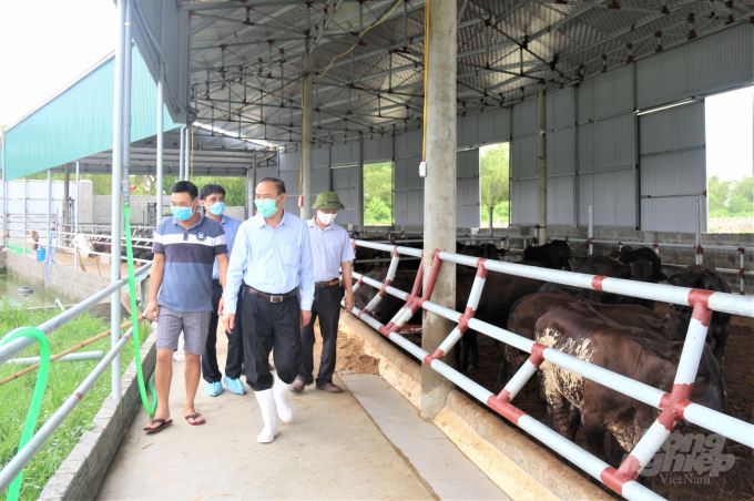 Thứ trưởng Phùng Đức Tiến dẫn đầu đoàn công tác của Bộ NN-PTNT kiểm tra tình hình chăn nuôi của Hà Nam ngày 8/7. Ảnh: Phạm Hiếu.