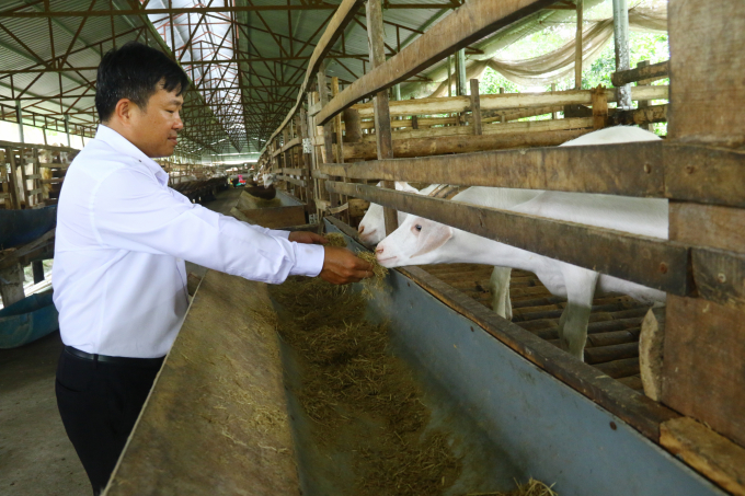 Thông qua chương trình xây dựng NTM và OCOP, hiện tỉnh Hậu Giang đã hình thành được nhiều mô hình sản xuất cho hiệu quả kinh tế cao. Ảnh: TP.