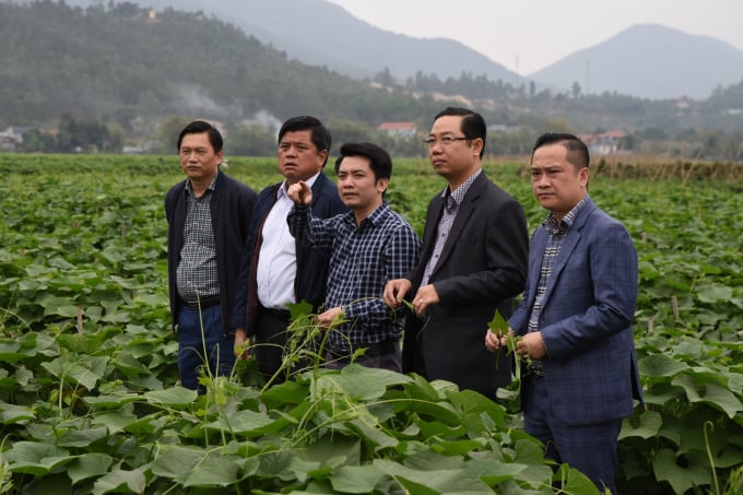 Thứ trưởng Trần Thanh Nam kiểm tra mô hình trồng su su theo hướng hữu cơ của Tập đoàn Quế Lâm ở Vĩnh Phúc. Ảnh: Hoàng Anh.