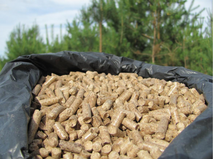 Nguyên liệu đầu vào để sản xuất viên nén chủ yếu được sử dụng từ gỗ phụ phẩm. Ảnh: TL.