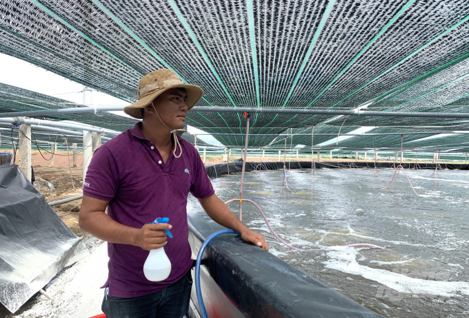 Công ty CP Thủy sản sạch Việt Nam (Vina Cleanfoof-Sóc Trăng) đầu tư nuôi tôm công nghệ cao trong hệ thống ao nổi. Ảnh: HĐ