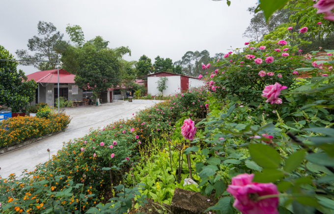 Mô hình trang trại chăn nuôi xanh tuần hoàn của HTX chăn nuôi Bình Minh được ví như khu du lịch sinh thái. Ảnh: Tuấn Hải.