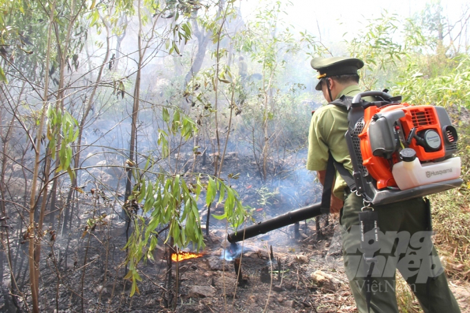Từ đầu năm đến nay, trên địa bàn tỉnh Bình Định đã xảy ra 2 vụ cháy rừng trồng tại TX Hoài Nhơn và huyện Phù Cát. Ảnh: Vũ Đình Thung.