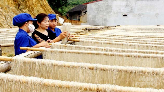 Làng nghề miến dong ở xã Côn Minh, huyện Na Rì. Ảnh: Toán Nguyễn.