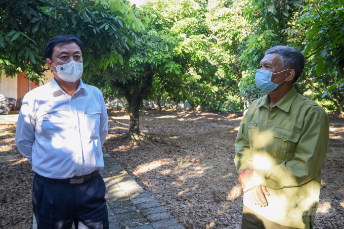 Bộ trưởng Lê Minh Hoan thăm hợp tác xã trồng nhãn ở Hưng Yên. Ảnh: Tùng Đinh.