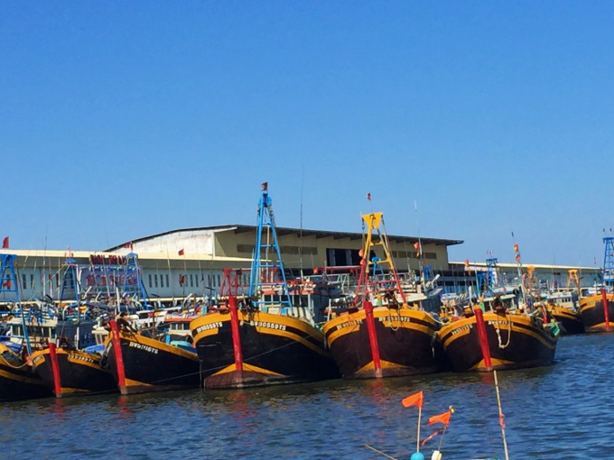 Nhằm góp phần gỡ thẻ vàng, nhiều các tàu cá ở Bình Thuận đã chấp hành nghiêm các quy định của pháp luật. Ảnh: VC.